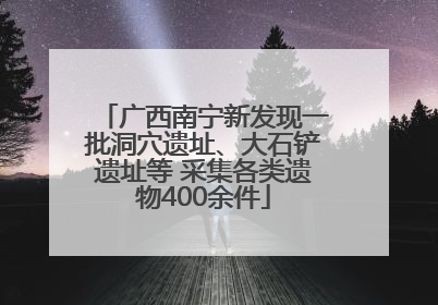 广西南宁新发现一批洞穴遗址、大石铲遗址等 采集各类遗物400余件