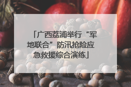 广西荔浦举行“军地联合”防汛抢险应急救援综合演练