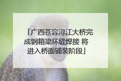 广西苍容浔江大桥完成钢箱梁环缝焊接 将进入桥面铺装阶段