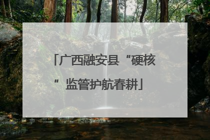 广西融安县“硬核”监管护航春耕