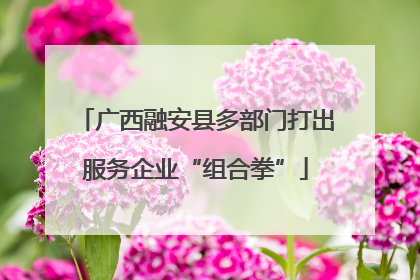 广西融安县多部门打出服务企业“组合拳”