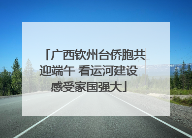 广西钦州台侨胞共迎端午 看运河建设感受家国强大