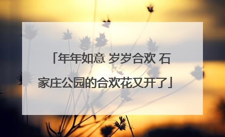 年年如意 岁岁合欢 石家庄公园的合欢花又开了