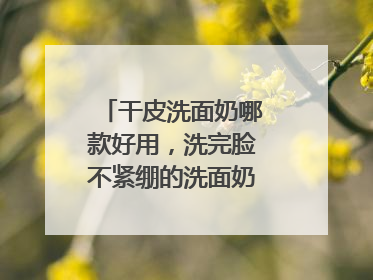 干皮洗面奶哪款好用，洗完脸不紧绷的洗面奶推荐，收藏