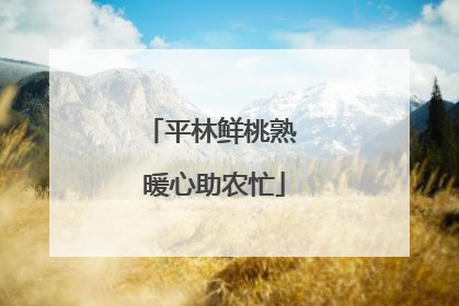 平林鲜桃熟 暖心助农忙