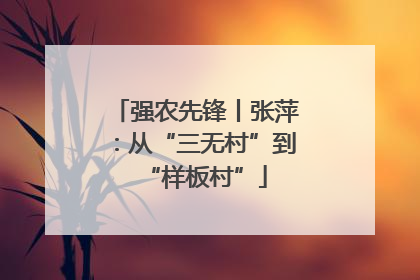 强农先锋丨张萍：从“三无村”到“样板村”