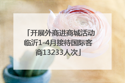 开展外商进商城活动 临沂1-4月接待国际客商13233人次
