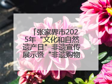 张家界市2025年“文化和自然遗产日”非遗宣传展示暨“非遗购物节”活动在慈利县盛大启幕