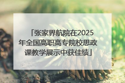 张家界航院在2025年全国高职高专院校思政课教学展示中获佳绩