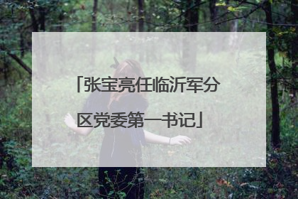 张宝亮任临沂军分区党委第一书记