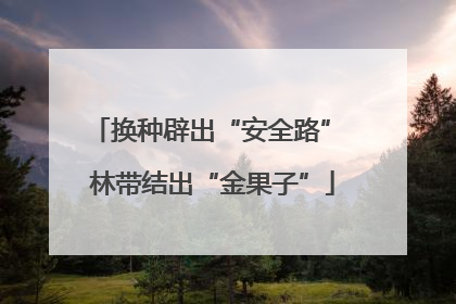 换种辟出“安全路” 林带结出“金果子”
