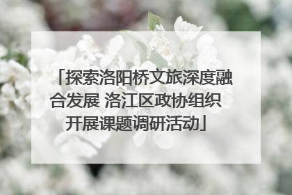 探索洛阳桥文旅深度融合发展 洛江区政协组织开展课题调研活动