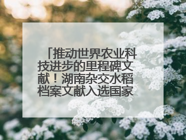 推动世界农业科技进步的里程碑文献！湖南杂交水稻档案文献入选国家级名录