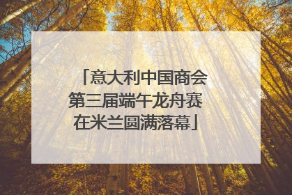 意大利中国商会第三届端午龙舟赛在米兰圆满落幕