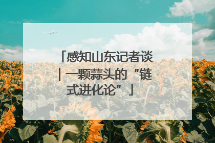 感知山东记者谈｜一颗蒜头的“链式进化论”