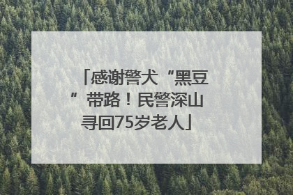 感谢警犬“黑豆”带路！民警深山寻回75岁老人