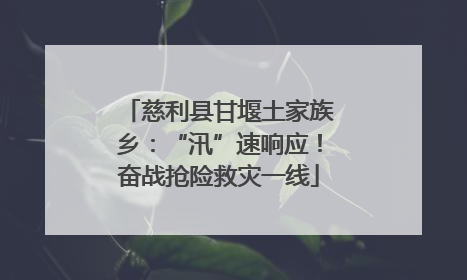 慈利县甘堰土家族乡：“汛”速响应！奋战抢险救灾一线