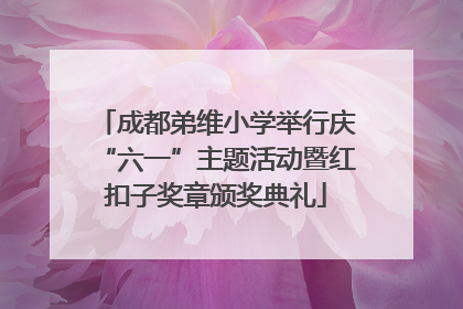 成都弟维小学举行庆“六一”主题活动暨红扣子奖章颁奖典礼