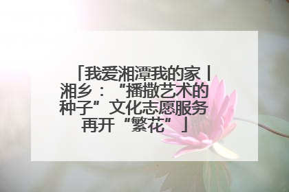 我爱湘潭我的家丨湘乡：“播撒艺术的种子”文化志愿服务再开“繁花”