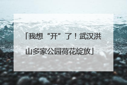 我想“开”了！武汉洪山多家公园荷花绽放