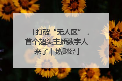 打破“无人区”，首个超头主播数字人来了｜热财经