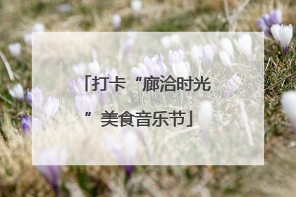 打卡“廊洽时光”美食音乐节