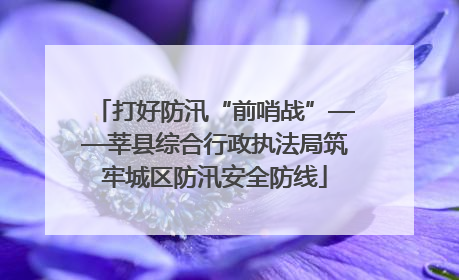 打好防汛“前哨战”——莘县综合行政执法局筑牢城区防汛安全防线