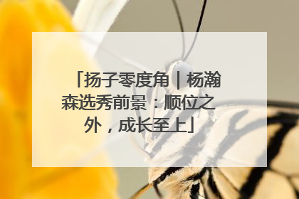 扬子零度角｜杨瀚森选秀前景：顺位之外，成长至上