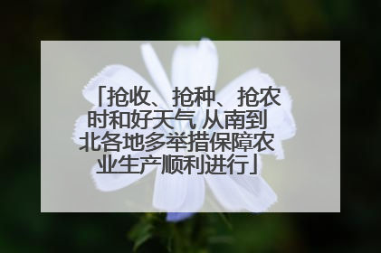 抢收、抢种、抢农时和好天气 从南到北各地多举措保障农业生产顺利进行