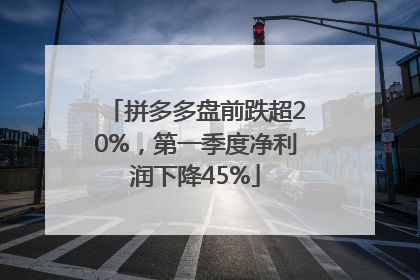 拼多多盘前跌超20%，第一季度净利润下降45%