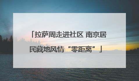 拉萨周走进社区 南京居民藏地风情“零距离”