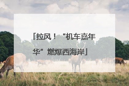 拉风！“机车嘉年华”燃爆西海岸