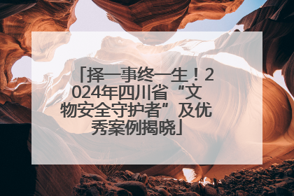 择一事终一生！2024年四川省“文物安全守护者”及优秀案例揭晓
