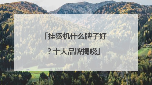 挂烫机什么牌子好？十大品牌揭晓
