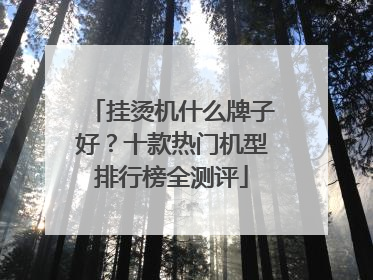 挂烫机什么牌子好？十款热门机型排行榜全测评