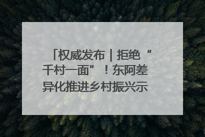 权威发布｜拒绝“千村一面”！东阿差异化推进乡村振兴示范片区建设