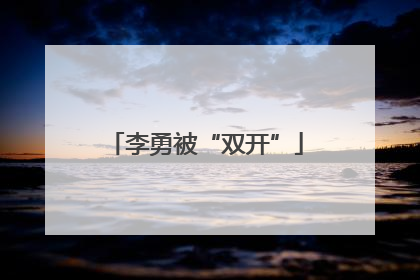 李勇被“双开”