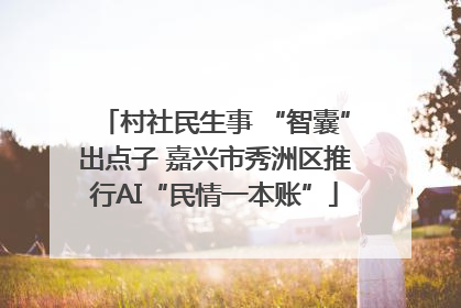 村社民生事 “智囊”出点子 嘉兴市秀洲区推行AI“民情一本账”