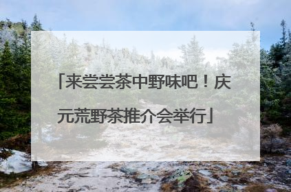 来尝尝茶中野味吧！庆元荒野茶推介会举行