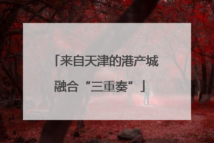 来自天津的港产城融合“三重奏”