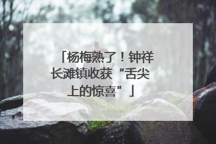 杨梅熟了！钟祥长滩镇收获“舌尖上的惊喜”