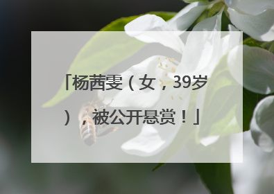杨茜雯（女，39岁），被公开悬赏！