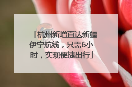 杭州新增直达新疆伊宁航线，只需6小时，实现便捷出行
