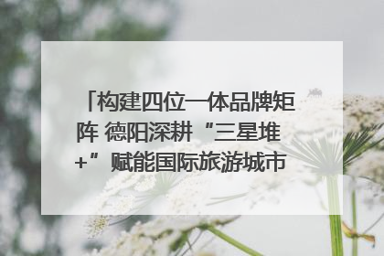 构建四位一体品牌矩阵 德阳深耕“三星堆+”赋能国际旅游城市建设｜文旅局长说