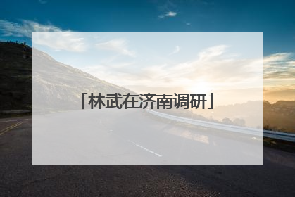 林武在济南调研