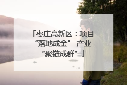 枣庄高新区：项目“落地成金” 产业“聚链成群”