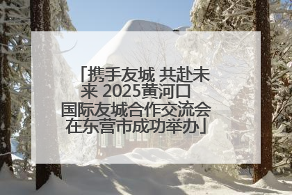 携手友城 共赴未来 2025黄河口国际友城合作交流会在东营市成功举办