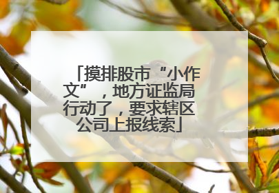 摸排股市“小作文”，地方证监局行动了，要求辖区公司上报线索