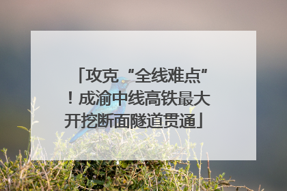 攻克“全线难点”！成渝中线高铁最大开挖断面隧道贯通