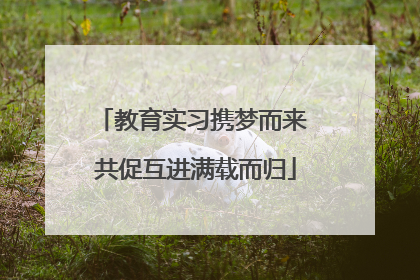 教育实习携梦而来 共促互进满载而归